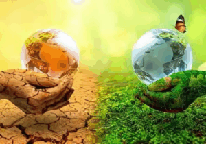 ESG trong thẩm định giá