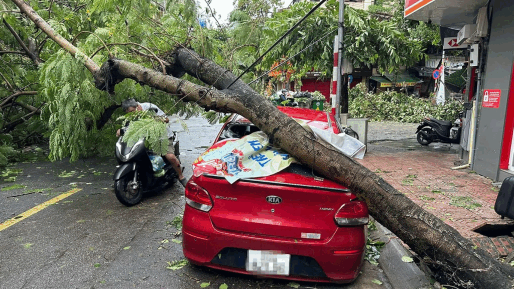 thẩm định giá trị thiệt hại